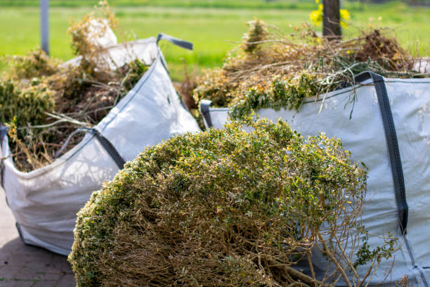 Best Appliance Removal Near Me  in Decherd, TN